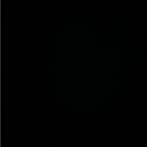 Meet your Posher, Ling